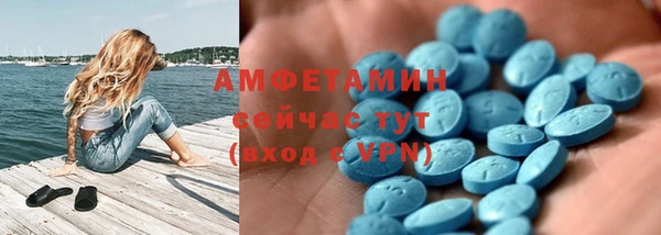 шишки Елизово