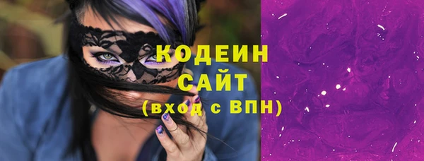 шишки Елизово