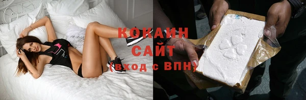 шишки Елизово