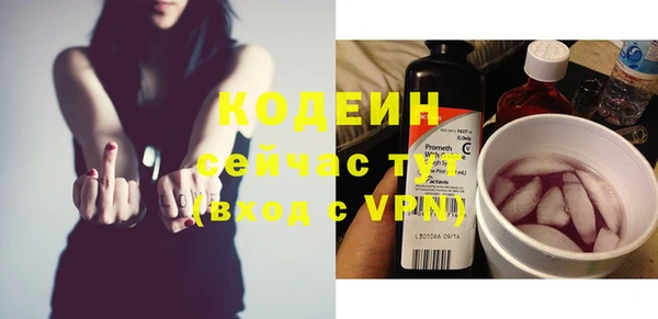 шишки Елизово