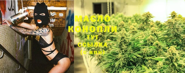 шишки Елизово