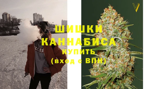 шишки Елизово