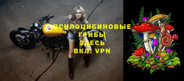 шишки Елизово