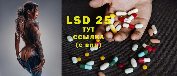 PSILOCYBIN Елабуга