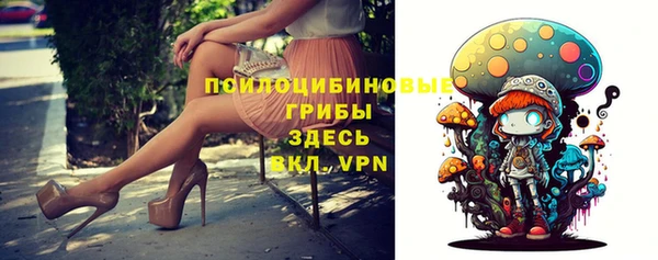 шишки Елизово