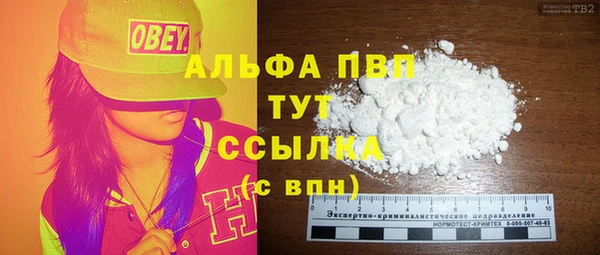 PSILOCYBIN Елабуга