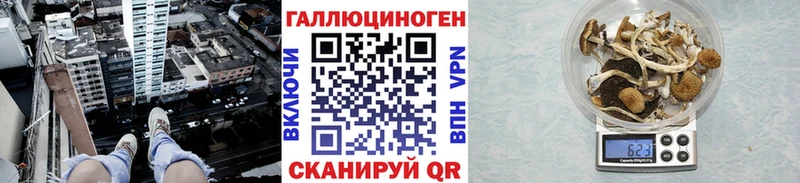 Галлюциногенные грибы Psilocybe  Купить  Кувандык 